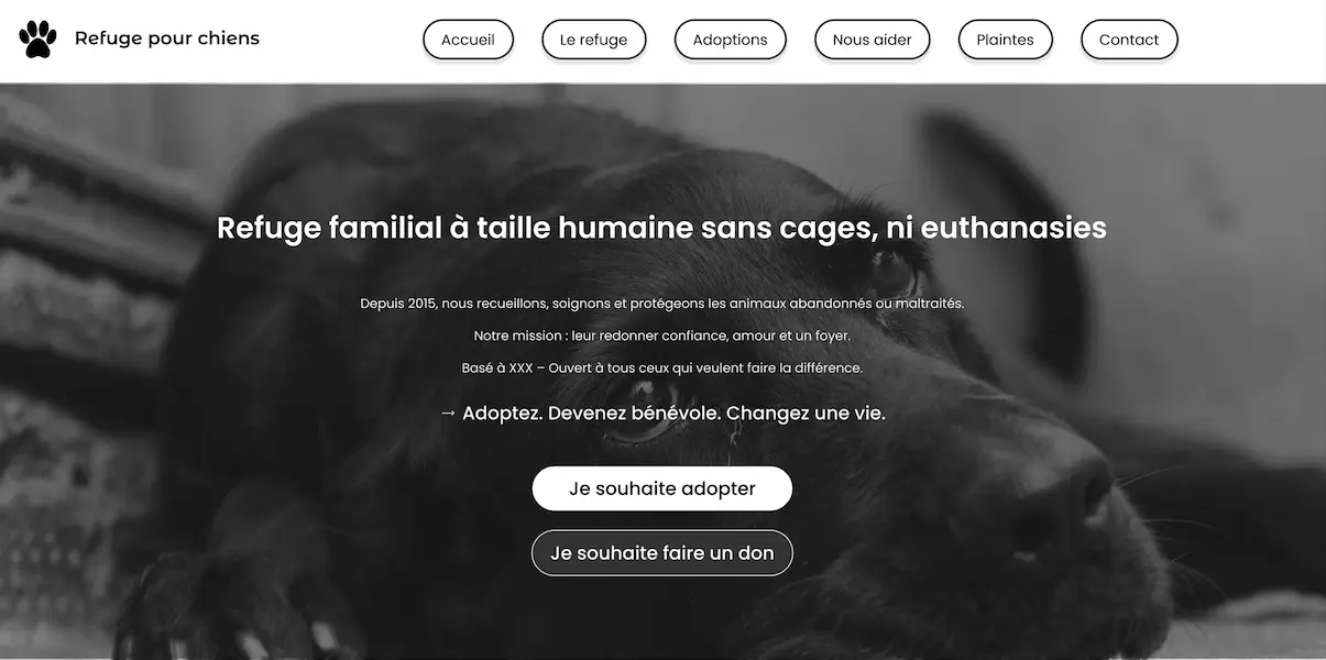 Maquette de refonte du site d'un refuge pour chiens, UI/UX design